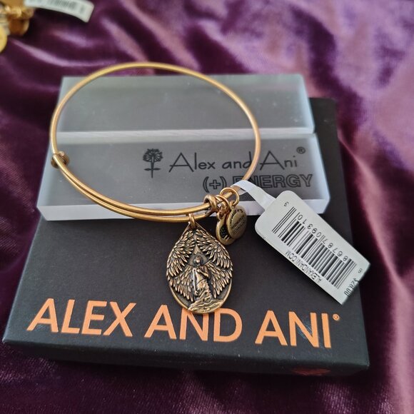 Alex and Ani Jewelry - Alex And Ani New Guardian of Peace    804